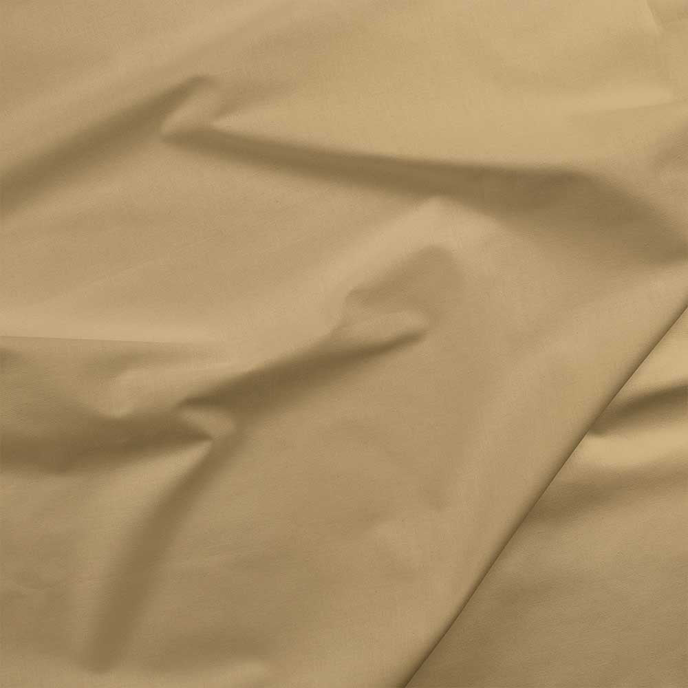 Painter's Palette Solids - 070 Beige