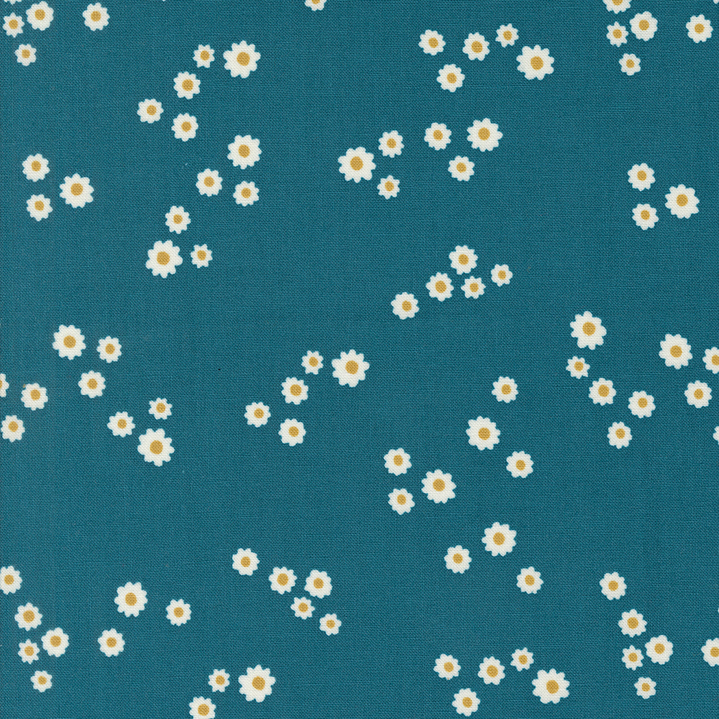 Turquoise - Chamomile from Field of Flowers by Katharine Watson