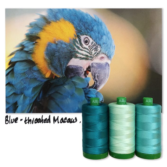 Aurifil Color Builder - Blue-throated Macaw