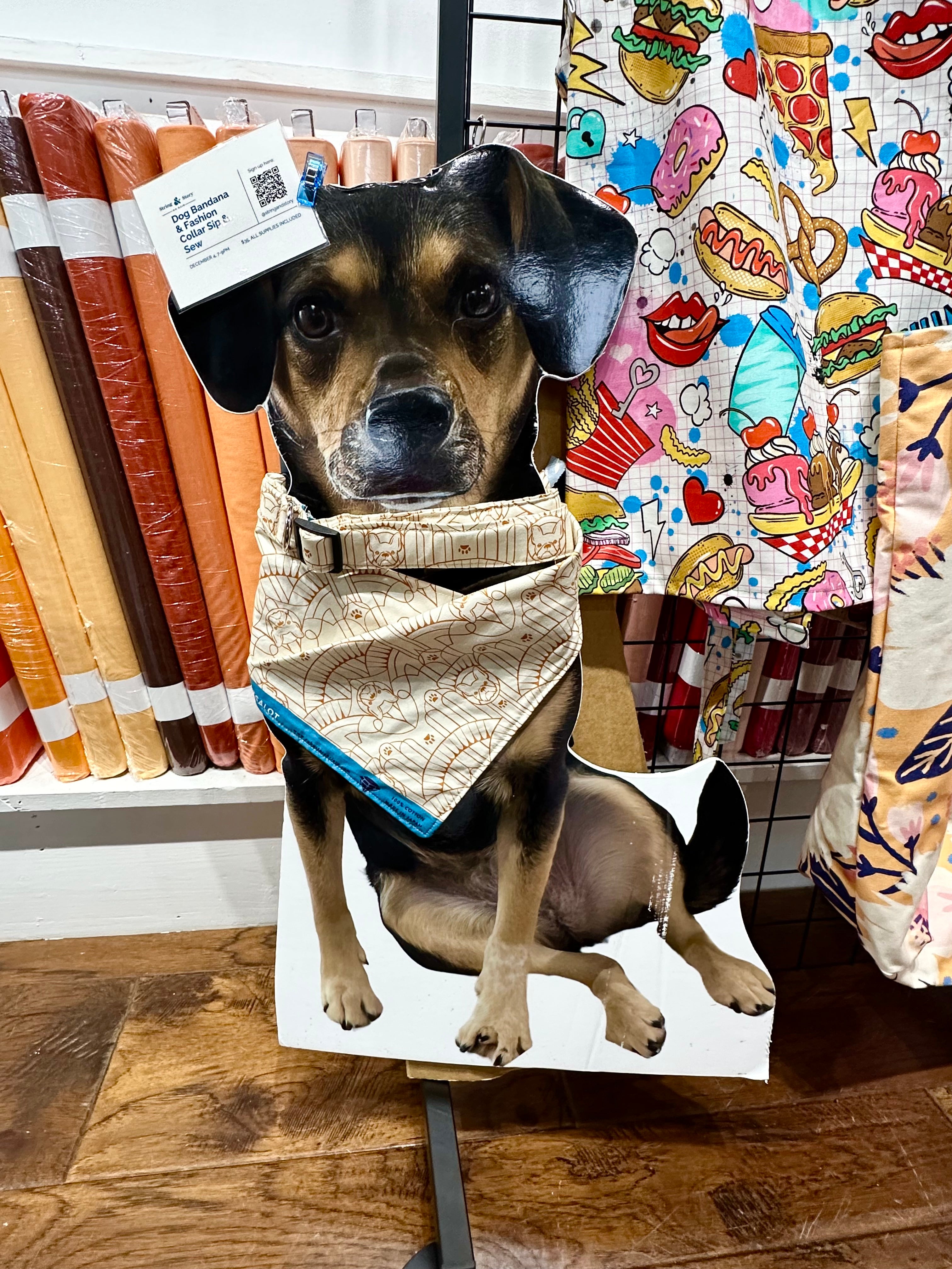 Dog Bandana & Fashion Collar: Sip & Sew Project Nights - December 4, 2024- IN PERSON