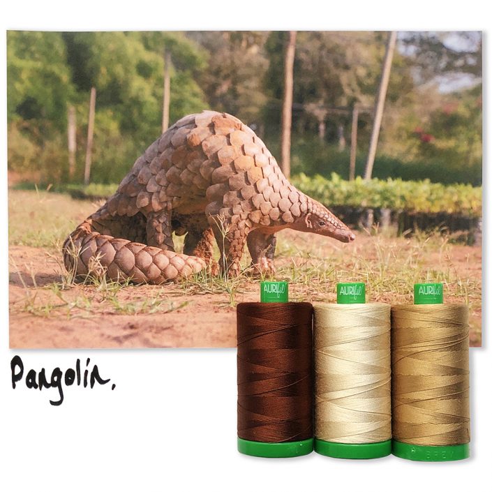 Aurifil Color Builder - Pangolin