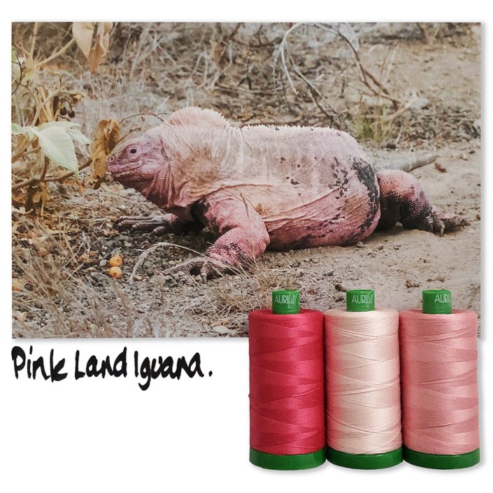 Aurifil Color Builder - Pink Land Iguana