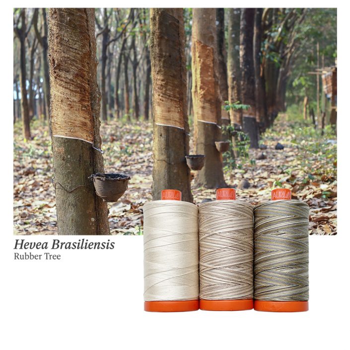 Aurifil Color Builder - Rubber Tree