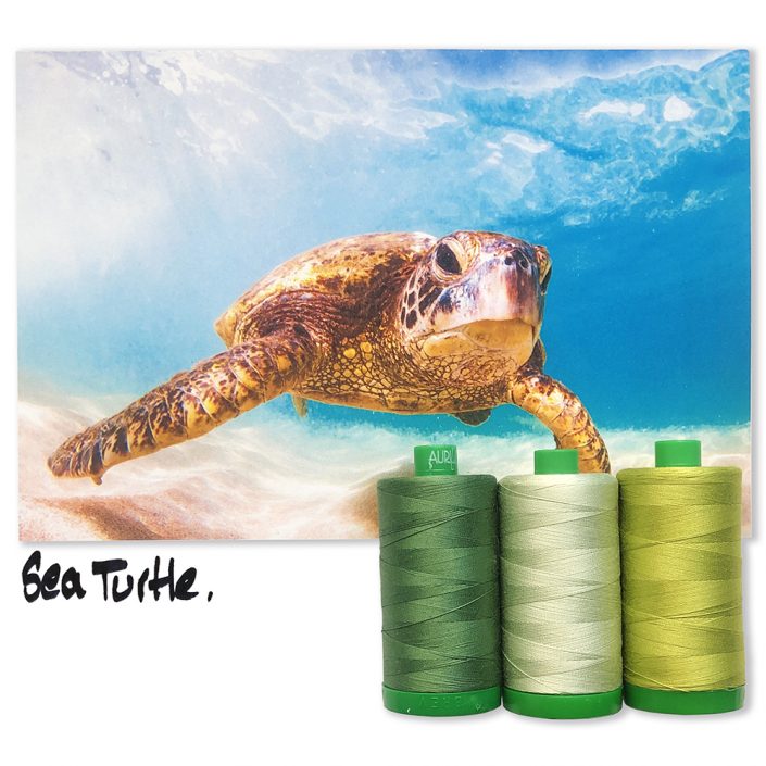 Aurifil Color Builder - Sea Turtle