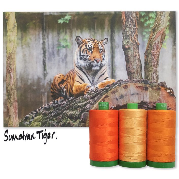 Aurifil Color Builder - Sumatran Tiger