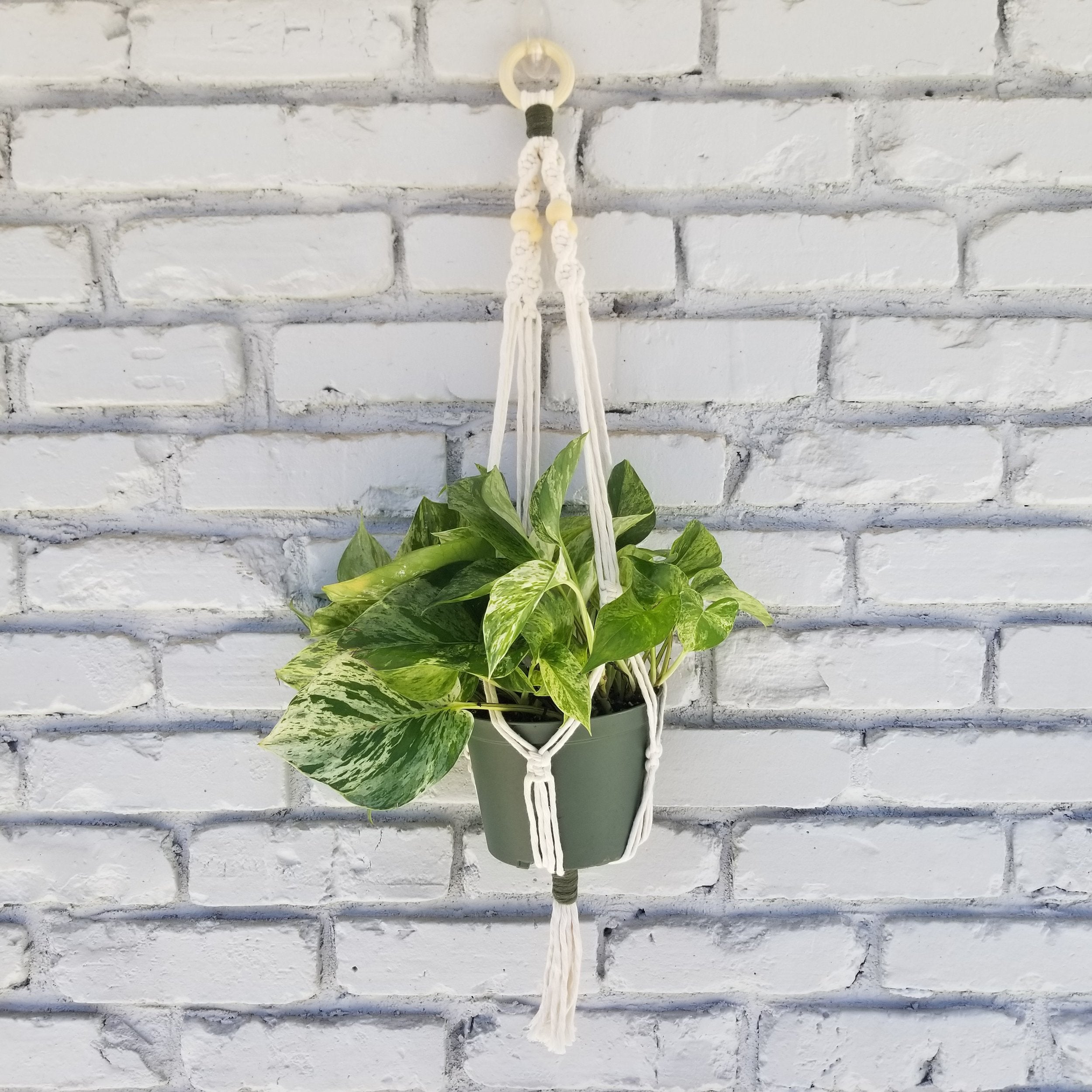 Live Classes In Person